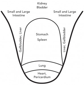 YinYang_Fig4